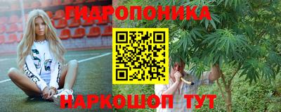 амфетамин Можга