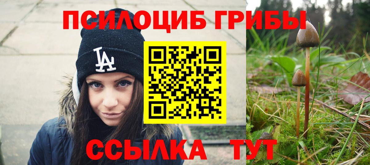 Тара  Галлюциногенные грибы мухоморы  Галлюциногенные грибы MAGIC MUSHROOMS  Вход с VPN 